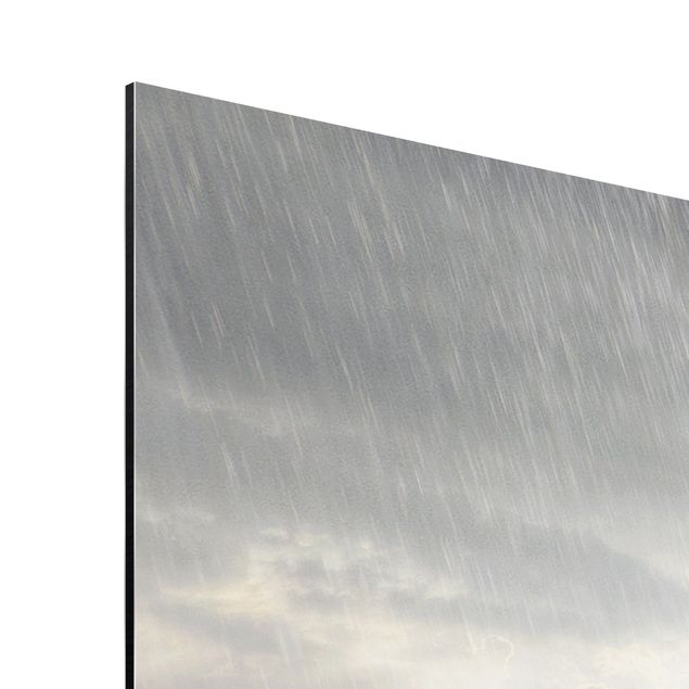 Aluminium Dibond schilderijen Jane In The Rain