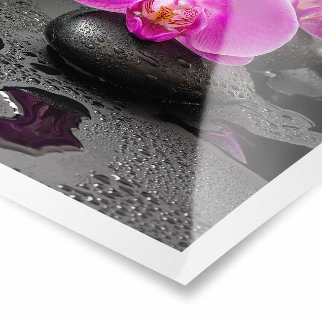 Posters Pink Orchid Flower On Stones With Drops