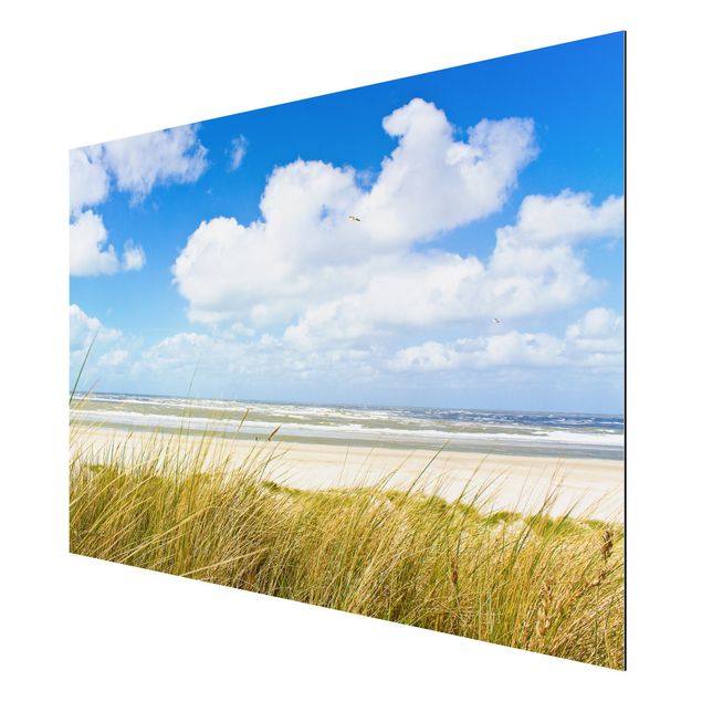 Aluminium Dibond schilderijen On the North Sea coast panorama