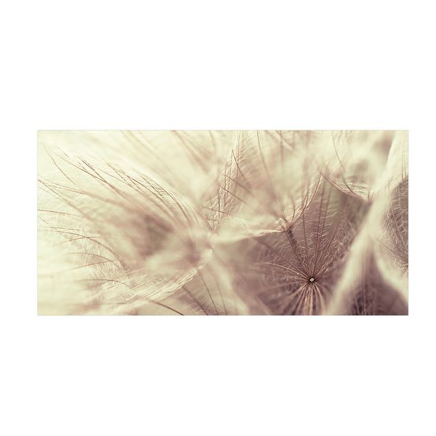 beige kleed Detailed Dandelion Macro Shot With Vintage Blur Effect