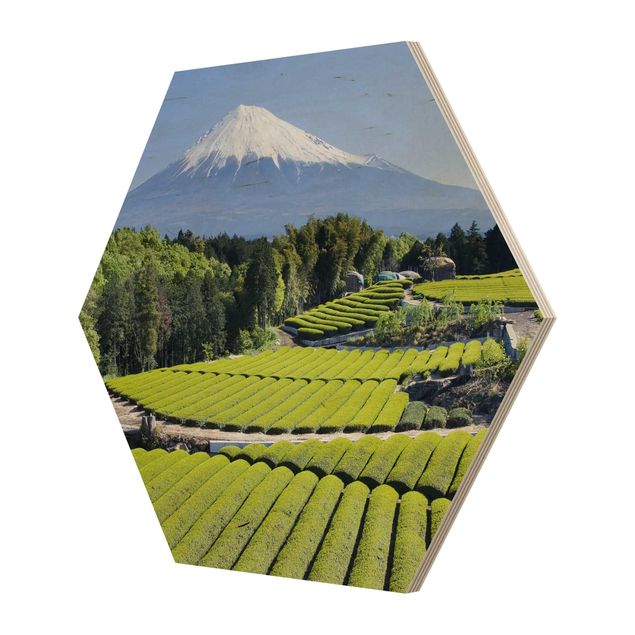 Hexagons houten schilderijen Tea Fields In Front Of The Fuji