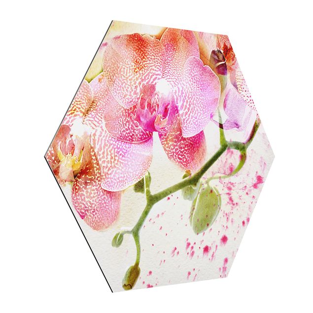 Hexagons Aluminium Dibond schilderijen Watercolour Flowers Orchids