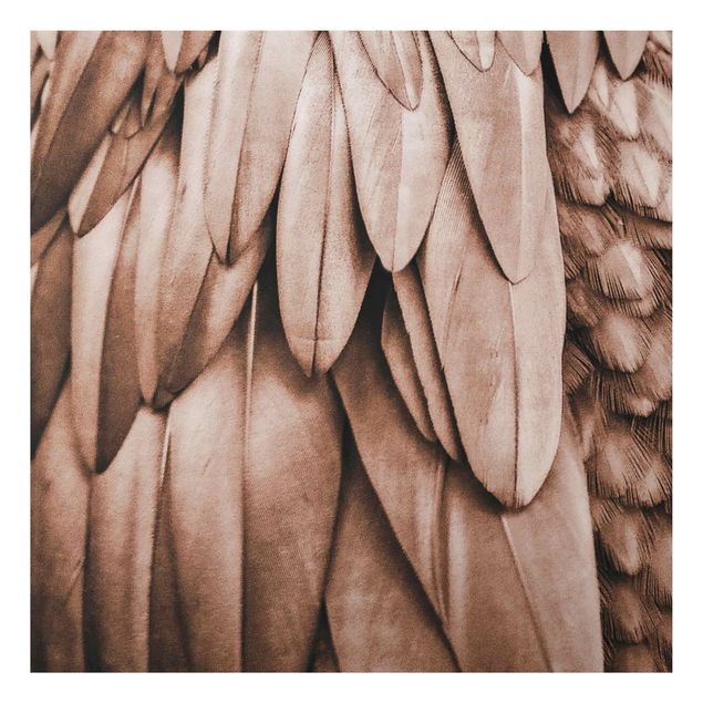 Aluminium Dibond schilderijen Feathers In Rosegold
