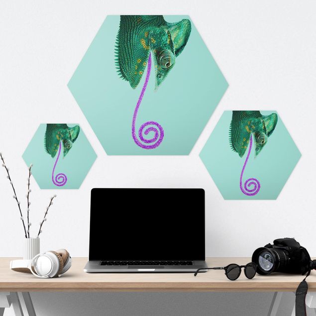 Hexagons Aluminium Dibond schilderijen Chameleon With Sugary Tongue
