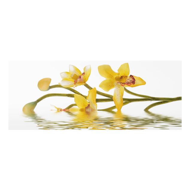 Spatscherm keuken Saffron Orchid Waters