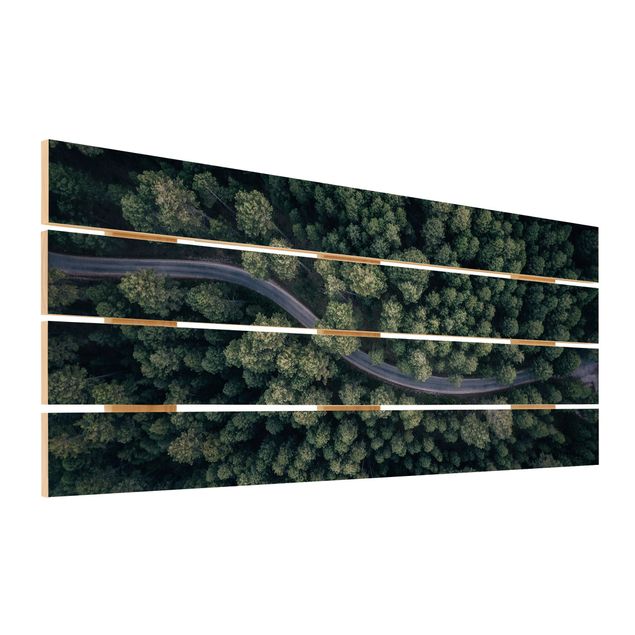 Houten schilderijen op plank Aerial View - Forest Road From The Top