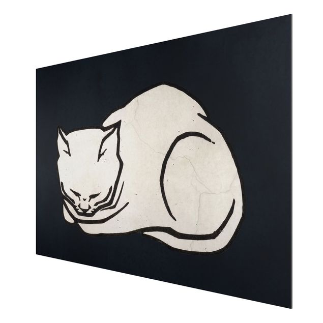 Aluminium Dibond schilderijen Sleeping Cat Illustration