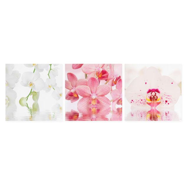 Canvas schilderijen - 3-delig Orchids On Water