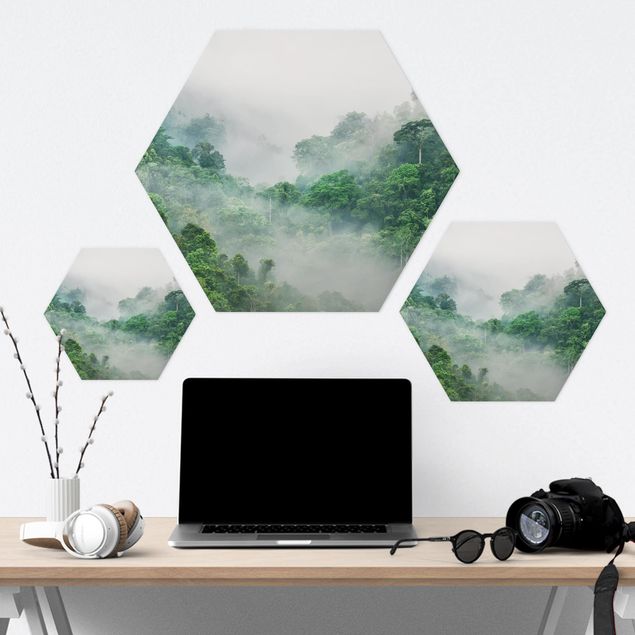 Hexagons Forex schilderijen Jungle In The Fog