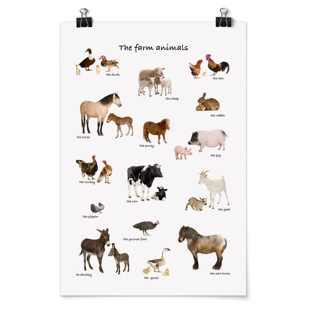 Posters Farm Animals