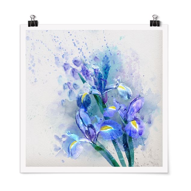 Posters Watercolour Flowers Iris