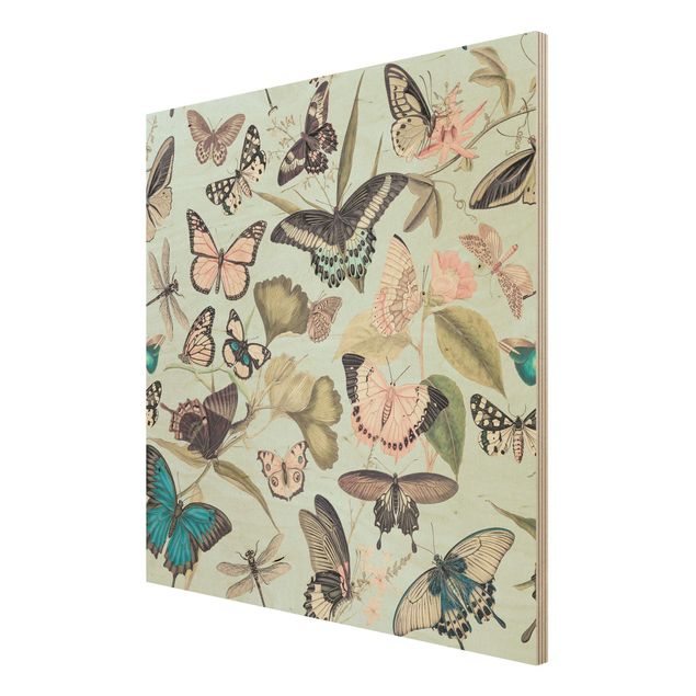 Houten schilderijen Vintage Collage - Butterflies And Dragonflies