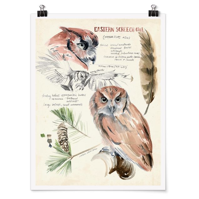 Posters Wilderness Journal - Owl