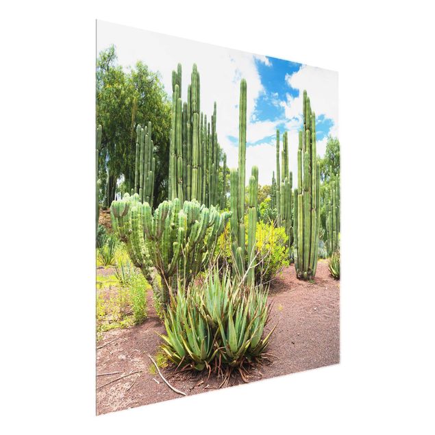 Magnettafel Glas Cactus Landscape