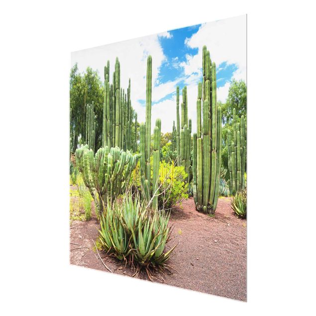 Glasschilderijen Cactus Landscape