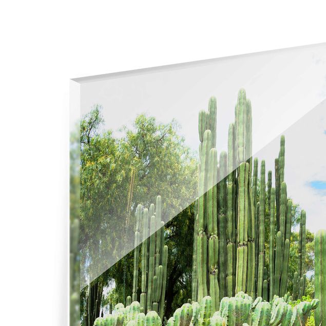 Glasschilderijen Cactus Landscape