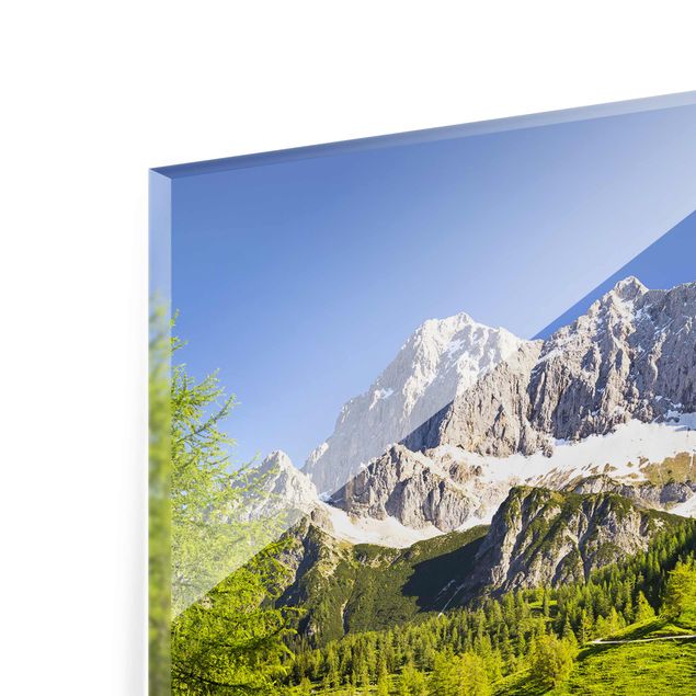 Glasschilderijen Styria Alpine Meadow