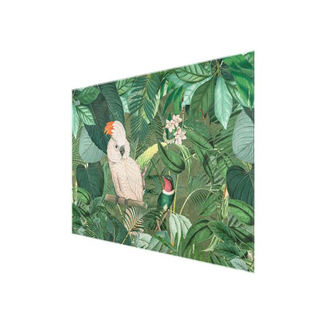 Glasschilderijen Vintage Collage - Kakadu And Hummingbird