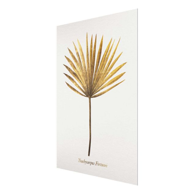 Glasschilderijen Gold - Palm Leaf