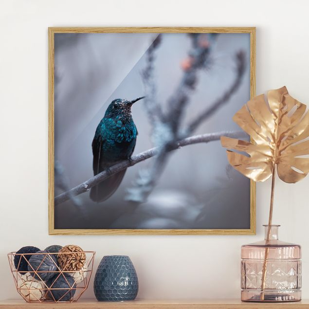 Ingelijste posters Hummingbird In Winter
