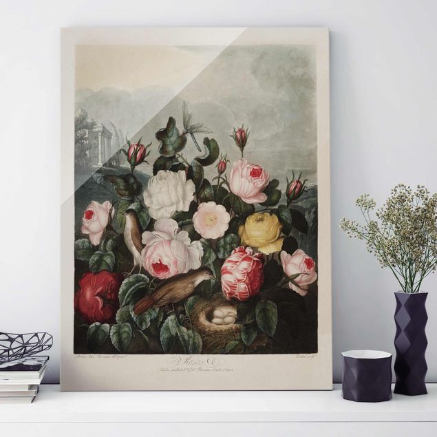 Magnettafel Glas Botany Vintage Illustration Of Roses