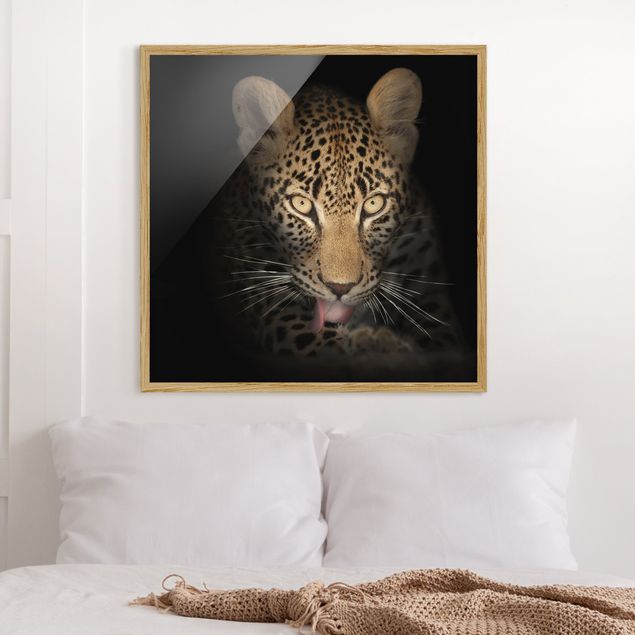 Ingelijste posters Resting Leopard