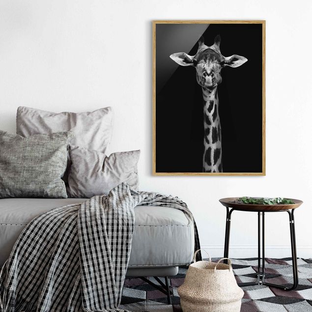Ingelijste posters Dark Giraffe Portrait