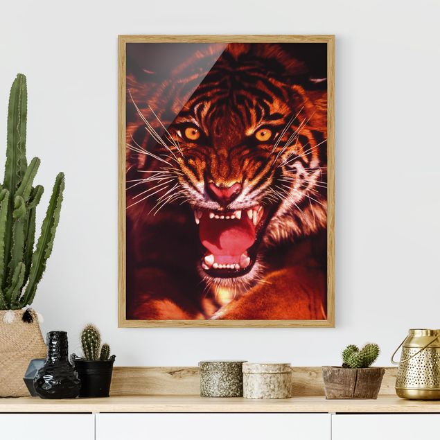 Ingelijste posters Wild Tiger