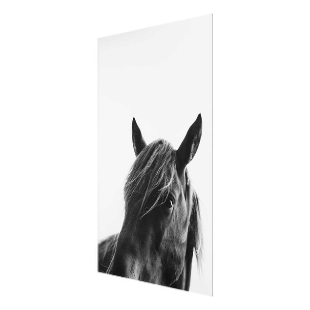 Glasschilderijen Curious Horse