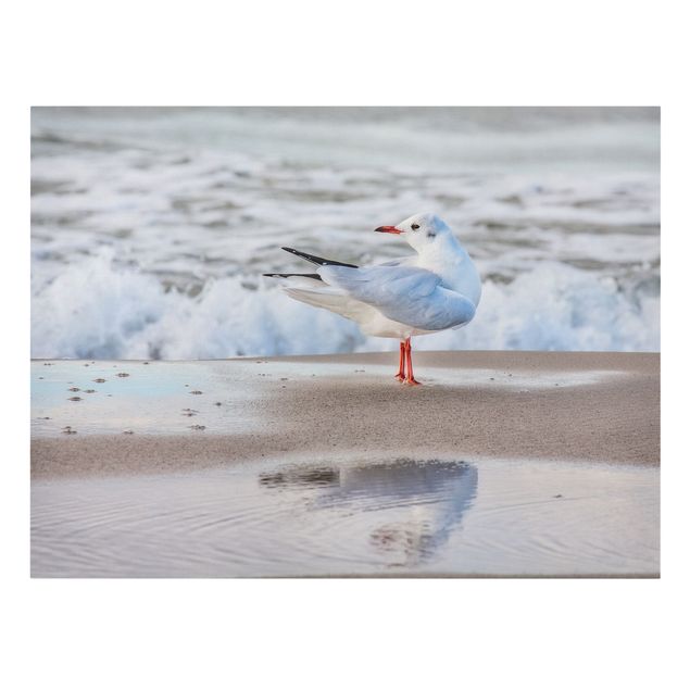 Canvas schilderijen Seagull On The Beach In Front Of The Sea