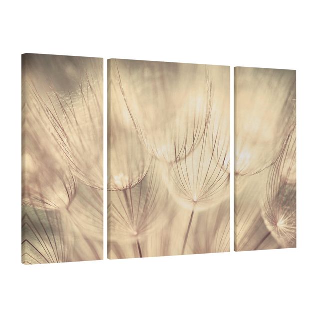 Canvas schilderijen - 3-delig Dandelions Close-Up In Cozy Sepia Tones