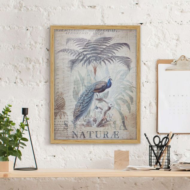 Ingelijste posters Shabby Chic Collage - Peacock