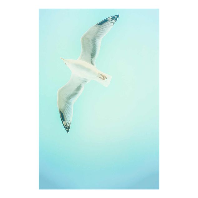 Glasschilderijen Blue Sky With Seagull
