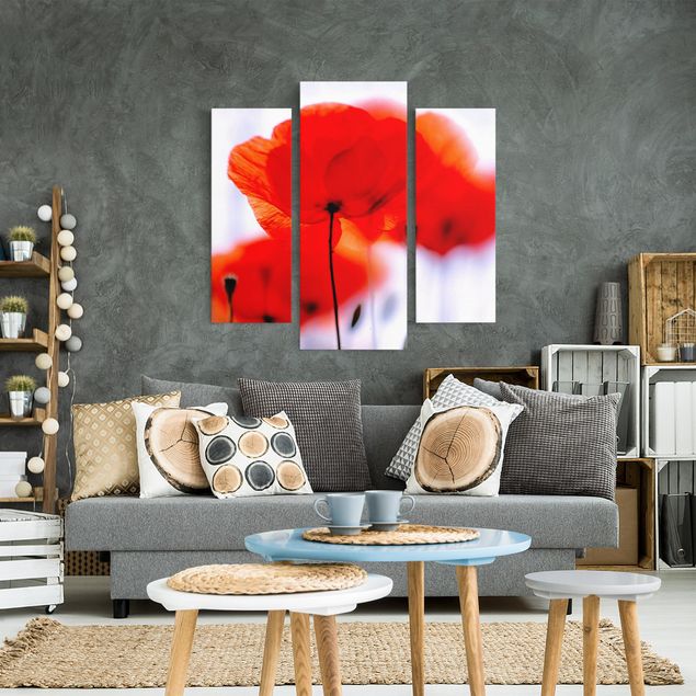 Canvas schilderijen - 3-delig Magic Poppies