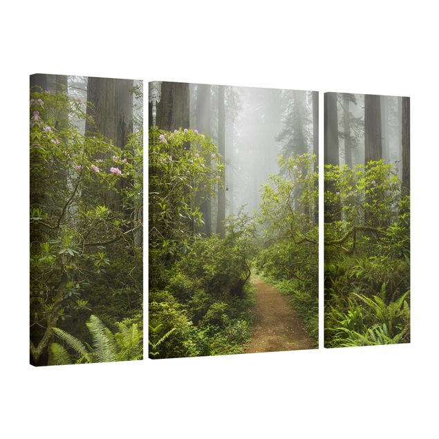 Canvas schilderijen - 3-delig Misty Forest Path