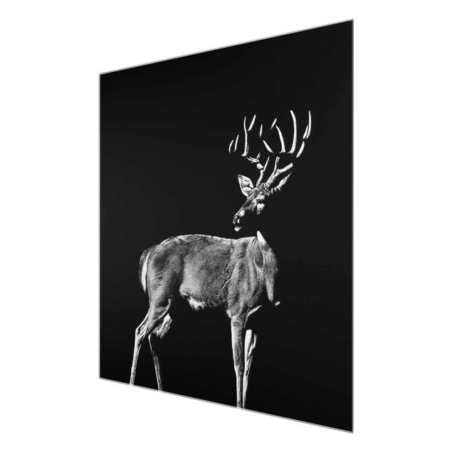 Glasschilderijen Deer In The Dark