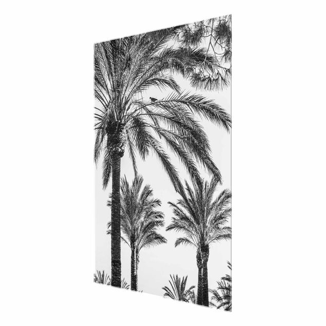 Glasschilderijen Palm Trees At Sunset Black And White