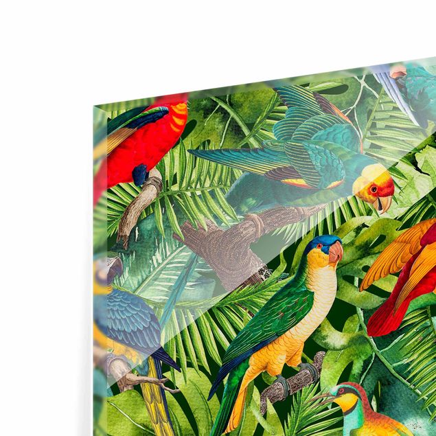 Glasschilderijen Colourful Collage - Parrots In The Jungle