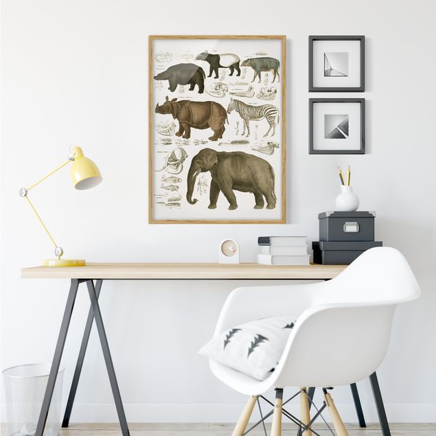 Ingelijste posters Vintage Board Elephant, Zebra And Rhino