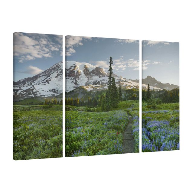 Canvas schilderijen - 3-delig Mountain View Meadow Path