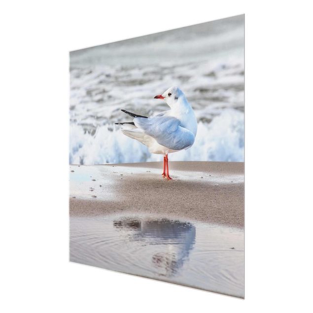 Glasschilderijen Seagull On The Beach In Front Of The Sea