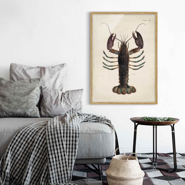Ingelijste posters Vintage Illustration Lobster