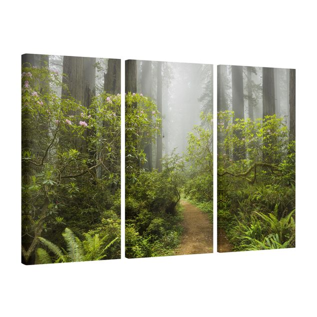 Canvas schilderijen - 3-delig Misty Forest Path