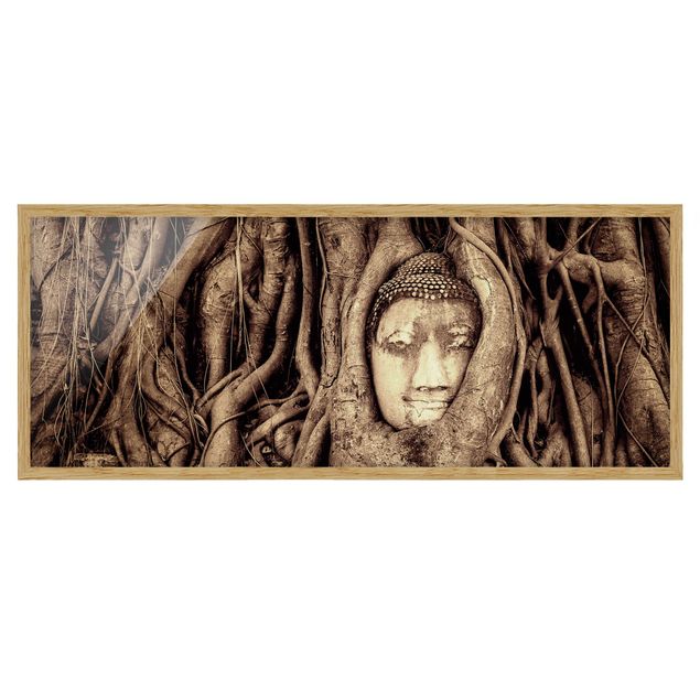Ingelijste posters Buddha In Ayutthaya Lined From Tree Roots In Brown