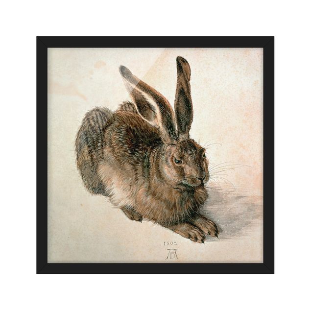 Ingelijste posters Albrecht Dürer - Young Hare