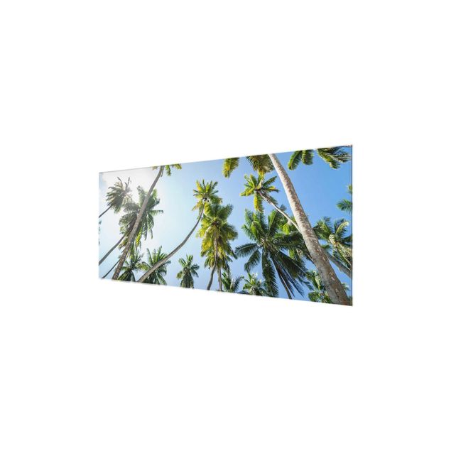 Glasschilderijen Palm Tree Canopy