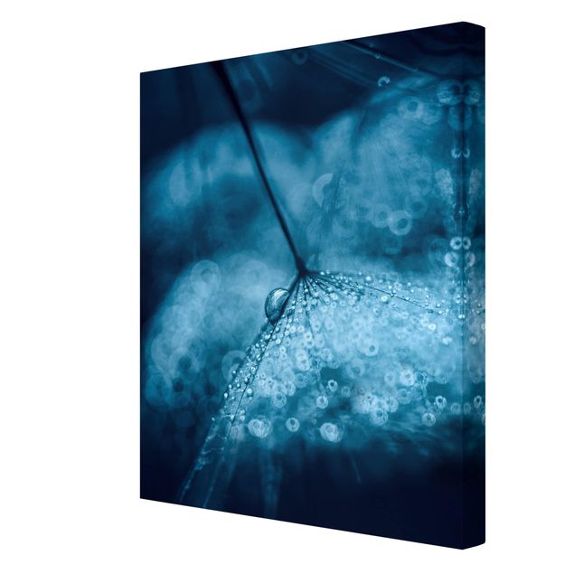 Canvas schilderijen Blue Dandelion In The Rain