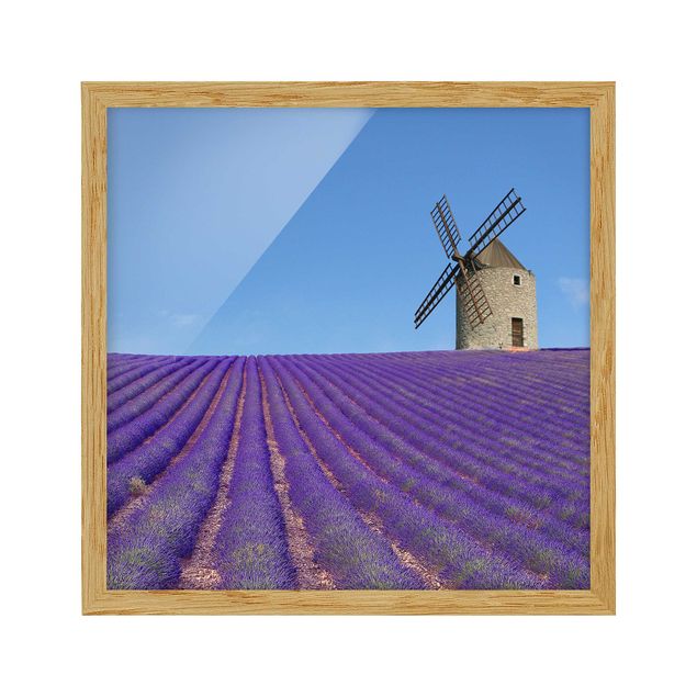 Ingelijste posters Lavender Scent In The Provence