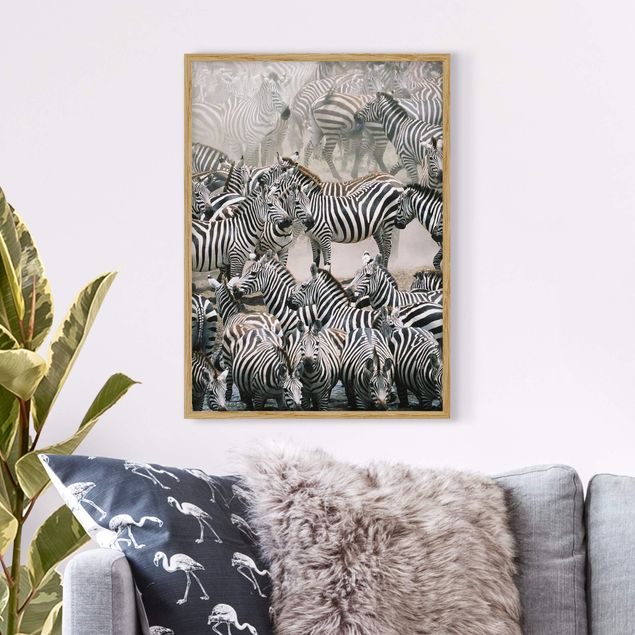 Ingelijste posters Zebra Herd