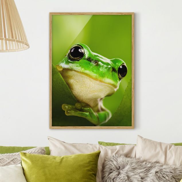 Ingelijste posters Frog